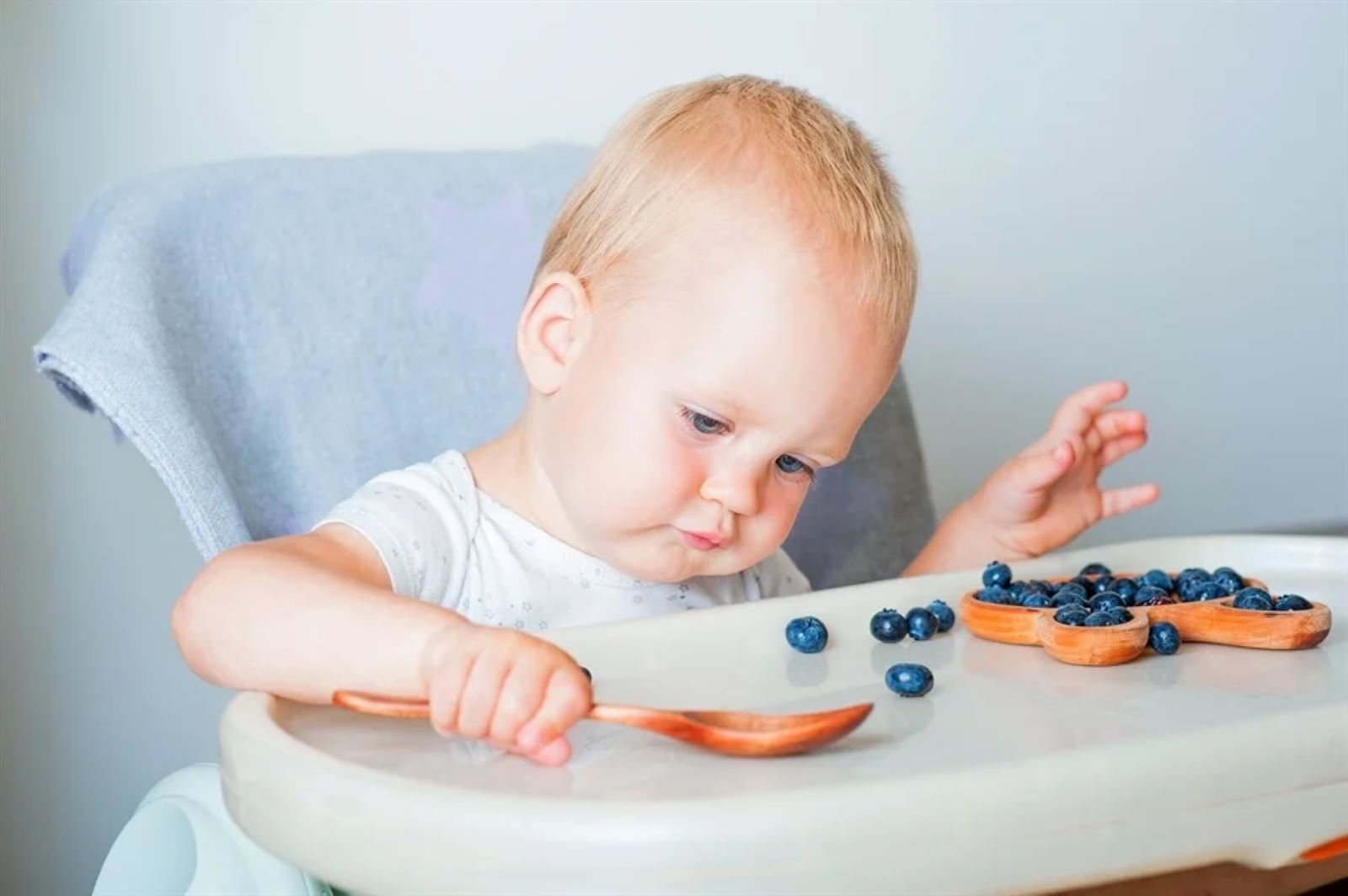 Babies fed blueberries show fewer allergy symptoms, study finds